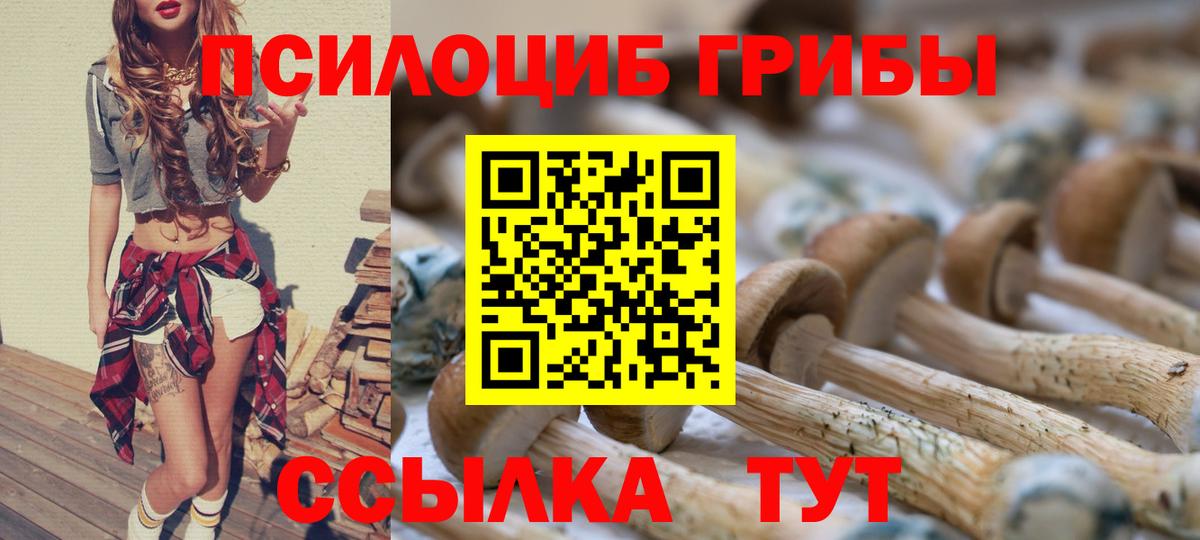 Хабаровск  Псилоцибиновые грибы ЛСД  купить наркоту  Вход с VPN  Псилоцибиновые грибы Psilocybe 